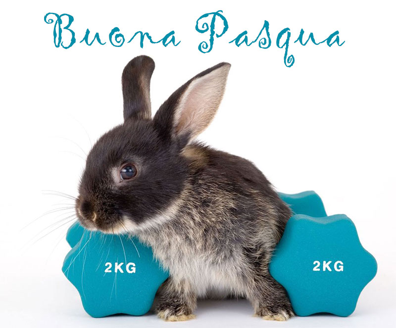 pasqua